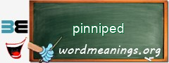 WordMeaning blackboard for pinniped